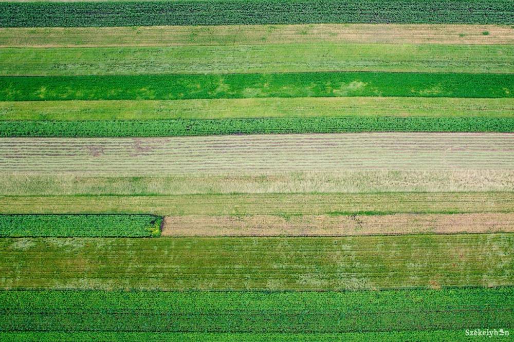 Hogyan maradjon a víz a földeken? Új megoldásokat keresnek Kézdivásárhelyen