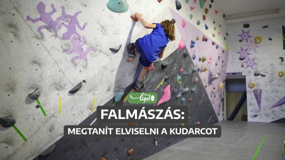 A gyerekeknek jó az, hogyha „ledobja” őket a fal