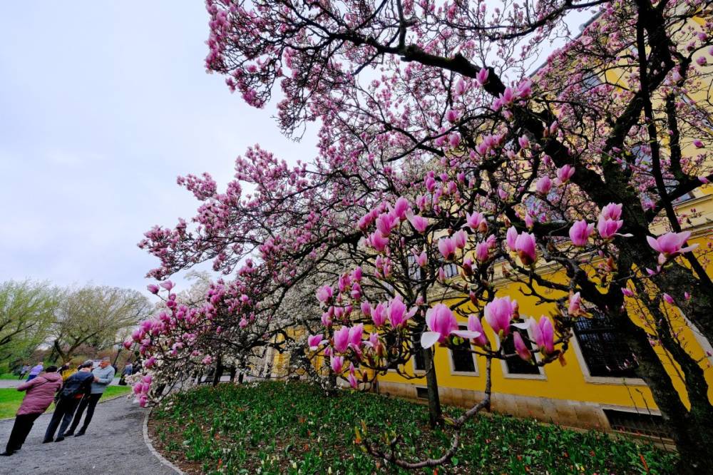 Nagy hőmérséklet-ingadozásokra számíthatunk a következő két hétben