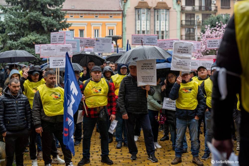 Munkahelyüket féltve tüntettek a vegyipari kombinát alkalmazottai