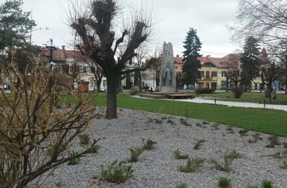 Sövények helyett virágágyások: megújulnak a gyergyószentmiklósi zöldfelületek