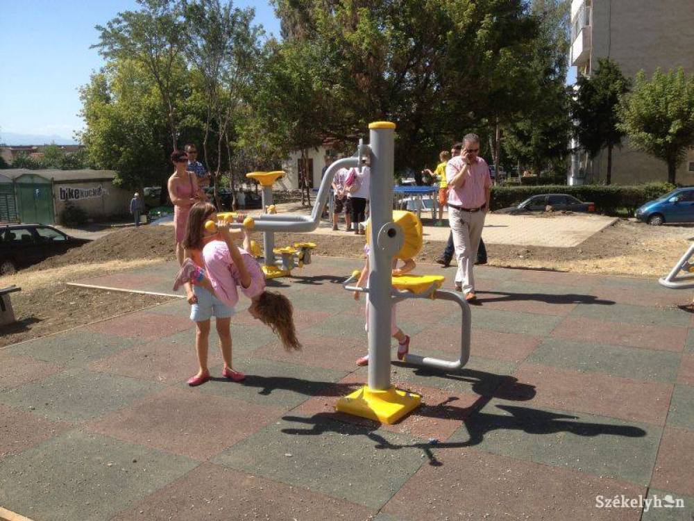 Dani Kinga emléknapot szervez a Háromszéki Közösségi Alapítvány