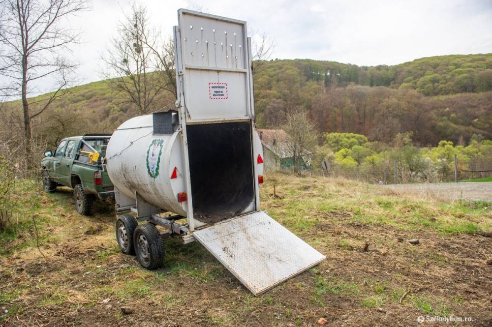 Medvecsapdát helyeztek ki, bűnügyi eljárás indult ellenük