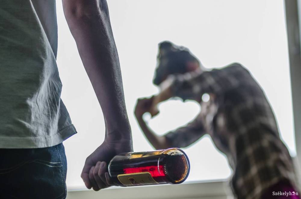 Nőtt a családon belüli erőszak eseteinek száma Hargita megyében