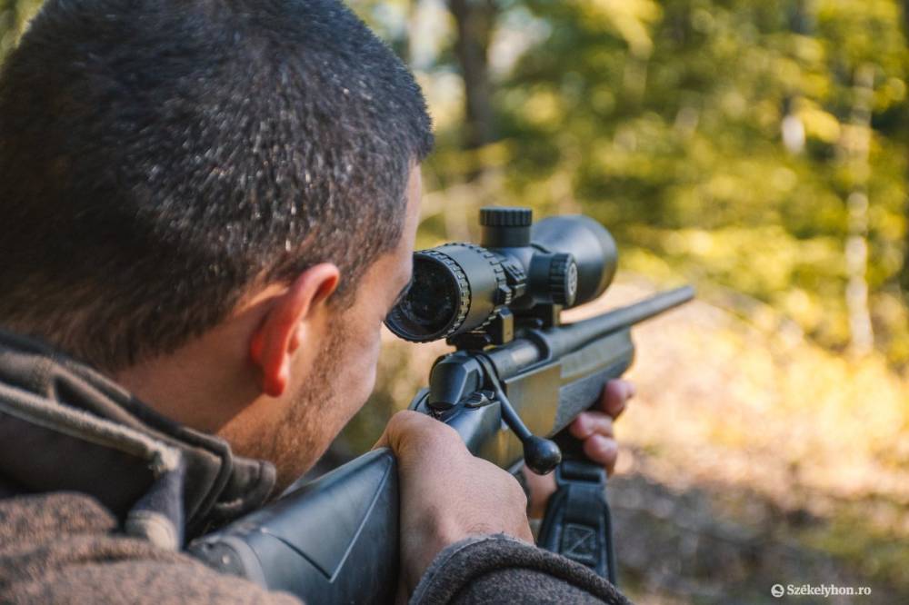 Engedély nélkül lelőttek egy medvét, őrizetbe vettek két vadászt