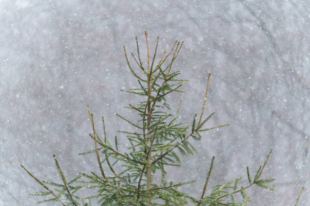 Erős széllel érkezik a lehűlés, havazás is lehet