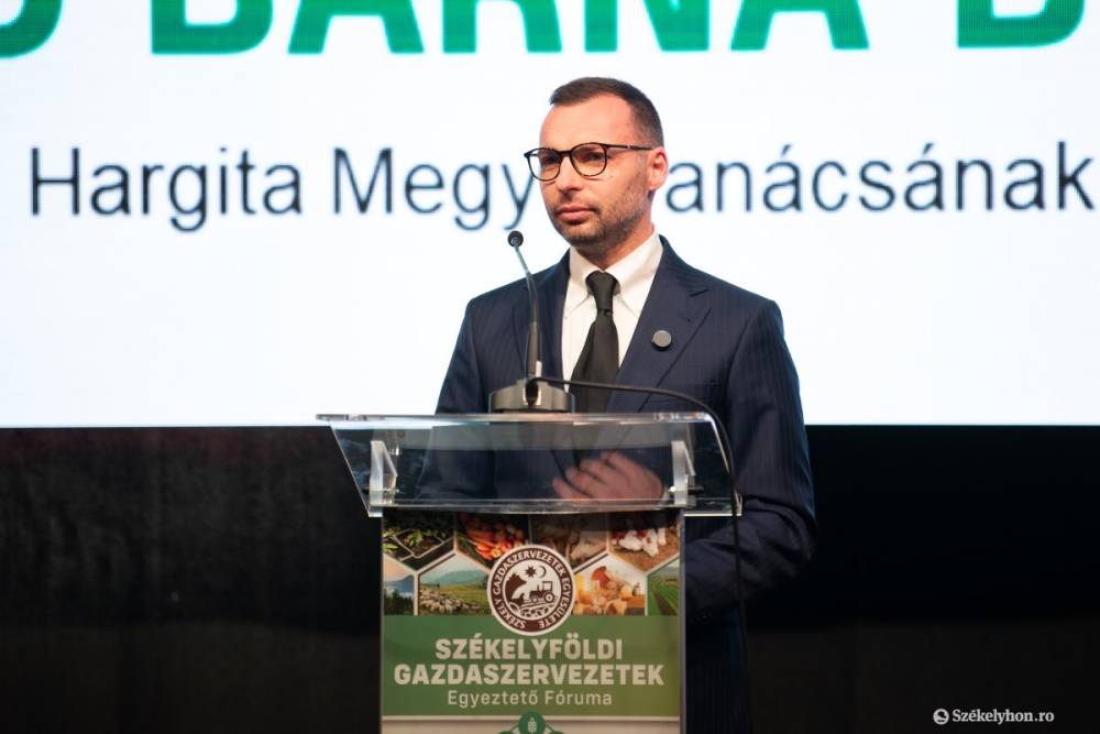 Székelyföldi politikus: az erdélyi és a magyarországi magyarok más-más tapasztalatok alapján döntöttek a választáson