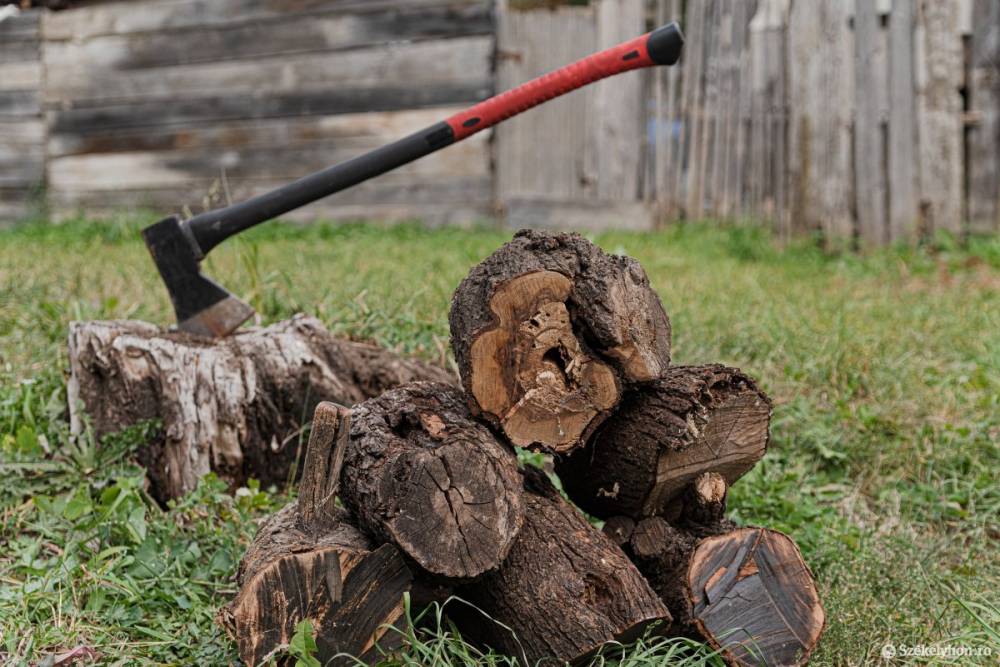 Életfogytiglani börtönbüntetésre ítélték a férfit, aki fejszével végzett várandós élettársával