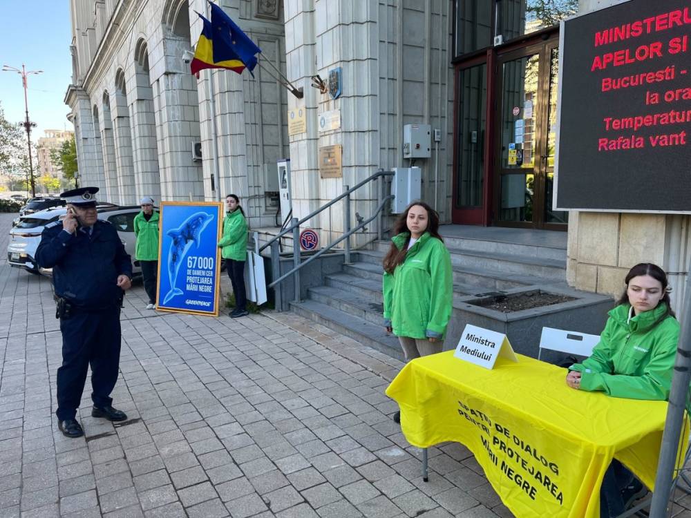 A Neptun Deep ellen tüntetnek a Greenpeace aktivistái