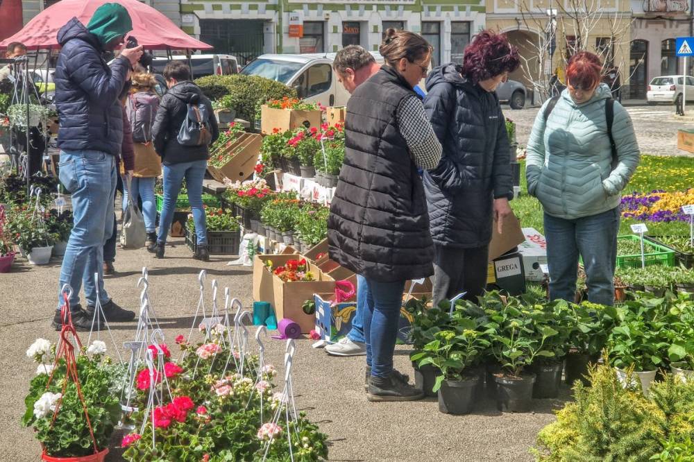 Szombat délutánig várja a látogatókat a kézdivásárhelyi Virágvarázs vásár
