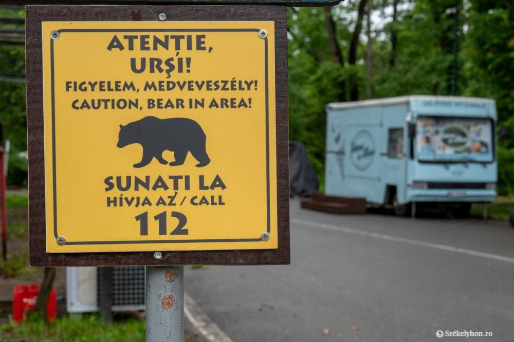 Újból medve jár a Somostetőn
