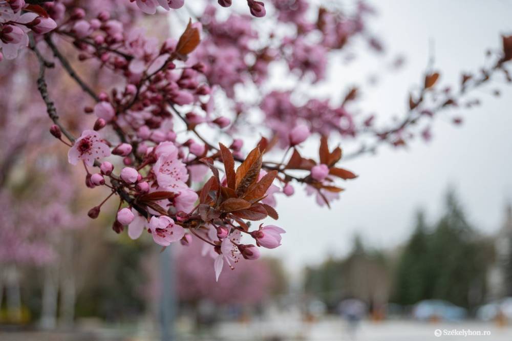 Hűvös időjárással fordulunk rá a májusra