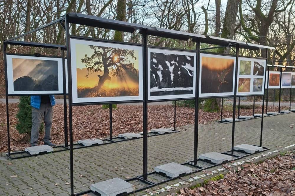 Lehet szavazni a legjobb természetfotókra