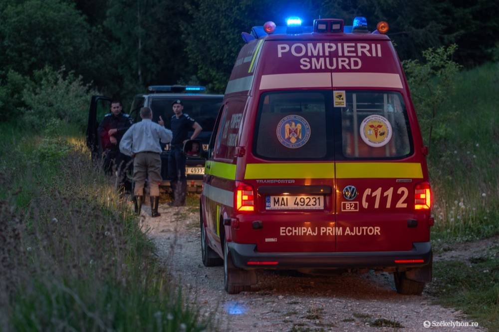 Medve támadott meg egy zágonbárkányi férfit