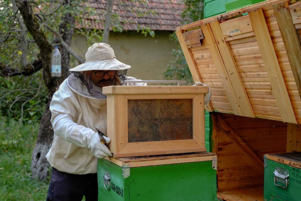 Állami támogatás a nehéz helyzetben levő méhészeknek