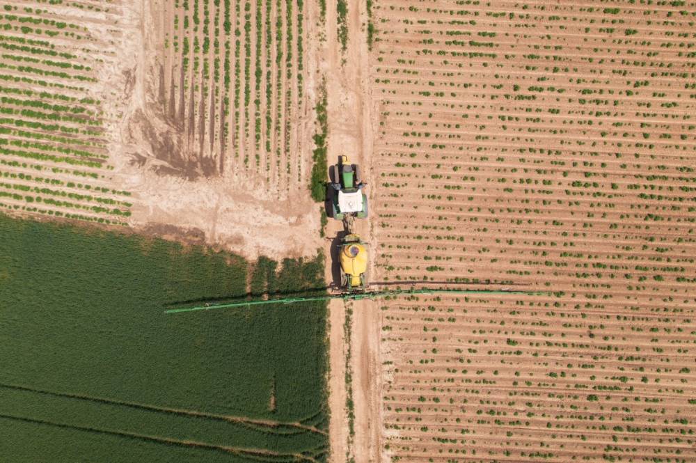 APIA: közel 10 millió hektár területre nyújtottak be agrártámogatási kérelmet idén
