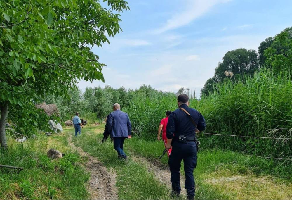 Továbbra is gyakoriak a medveriasztások Hargita és Maros megyében