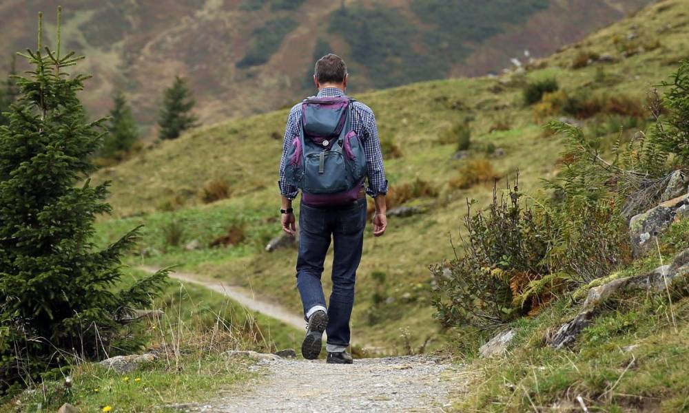 Túrázási kisokos: nem kell félni a medvétől, de néhány szabályt be kell tartani
