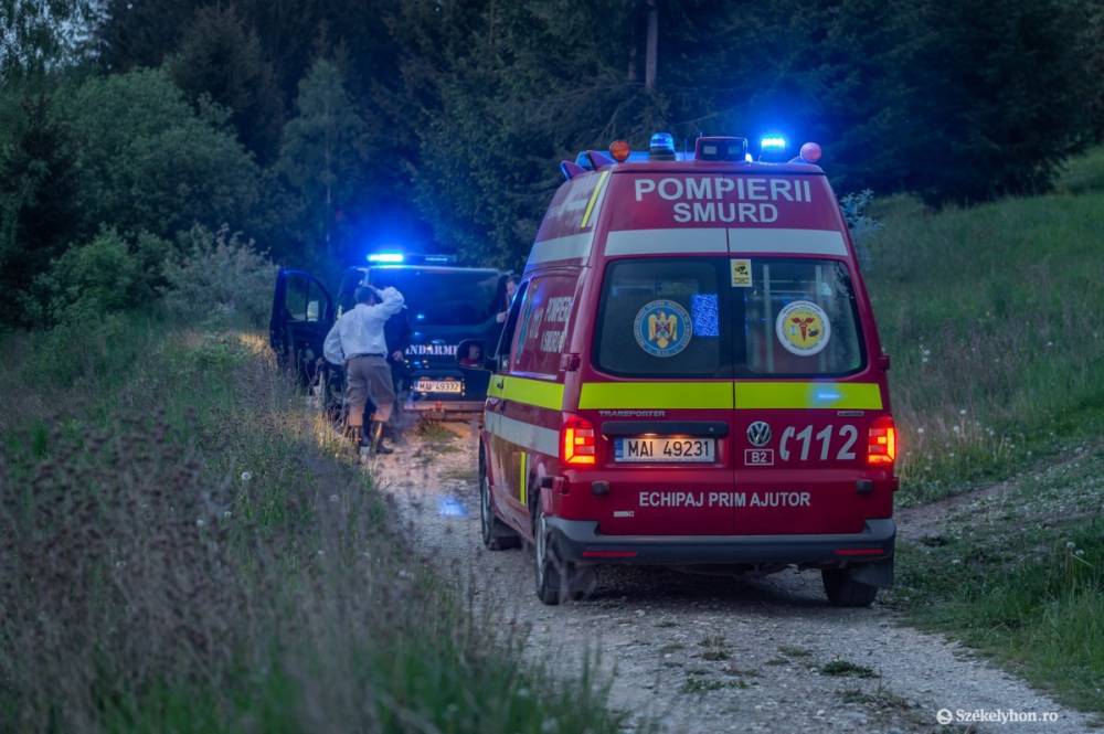 Kilőtték a svájci turistára támadó medvét