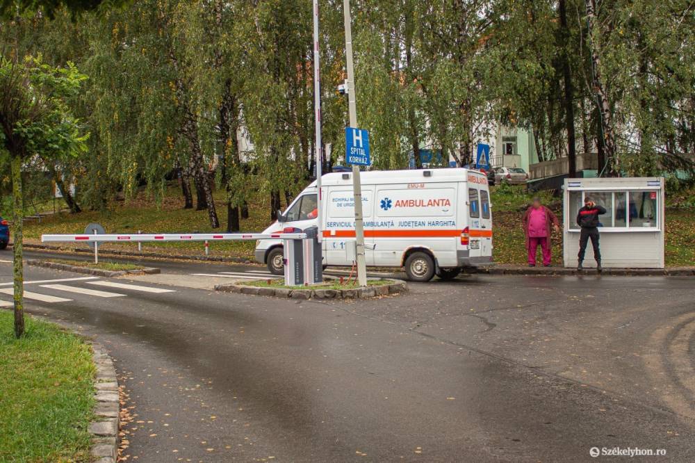 A beavatkozó csapat tagjaira támadt a medve a Kászonokban