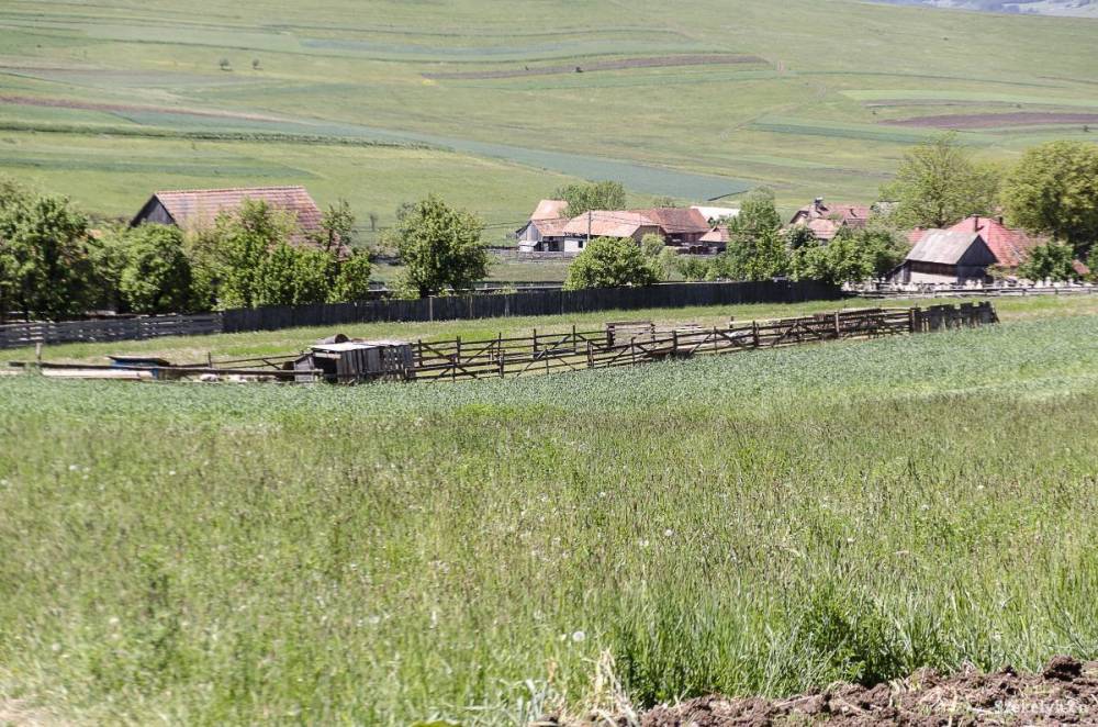 Nem medve, de vadállat miatt küldtek riasztást