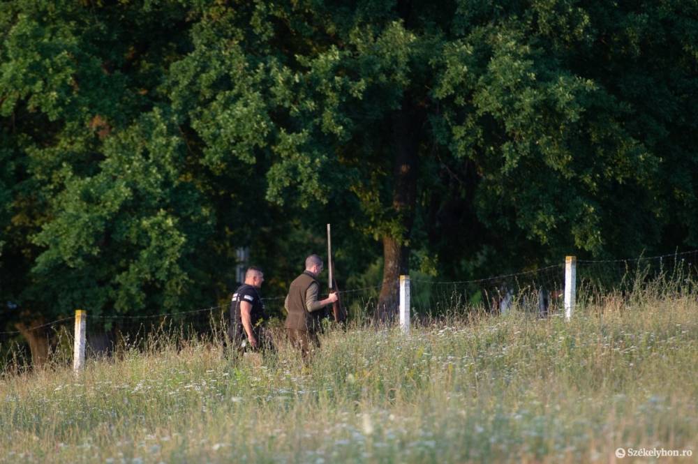 Medvehelyzet Székelyudvarhelyen: akiket a Bagossy-koncertről hazafelé tartva leptek meg a nagyvadak