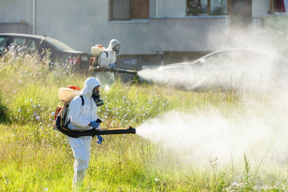 Szúnyog- és kullancsirtás lesz Gyergyószentmiklóson