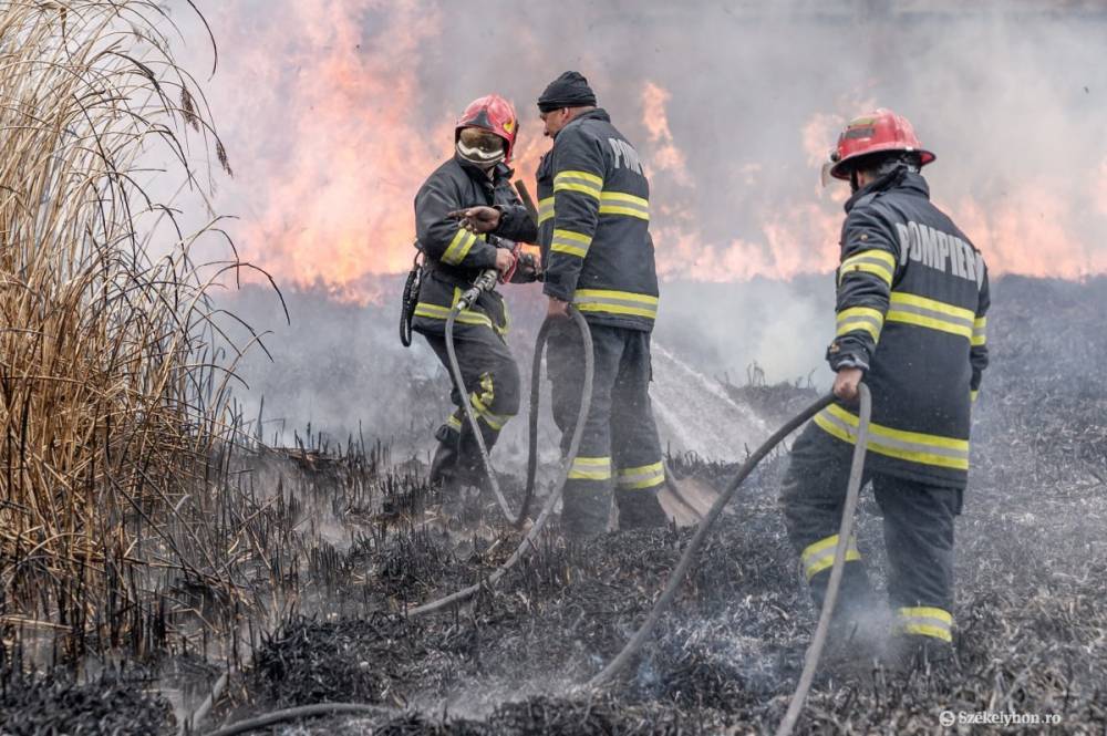 Mezőgazdasági tűzesetekhez riasztották a tűzoltókat