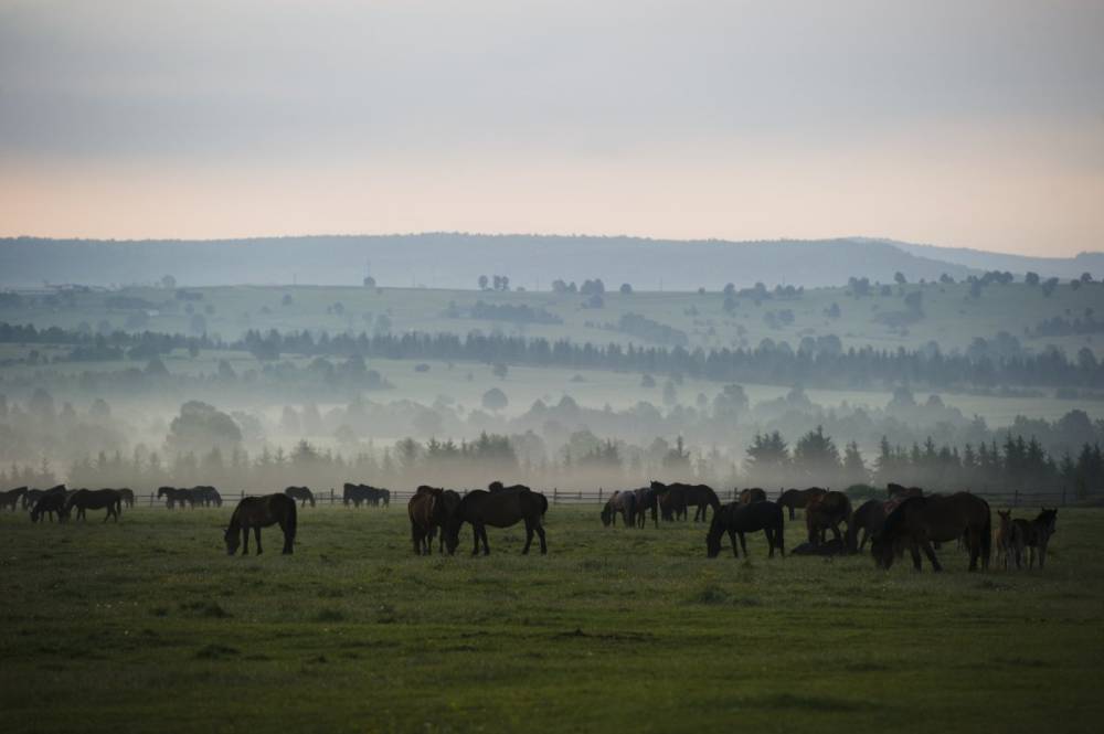 Enyhe téli hőmérséklettel fordul rá a kánikulára Csíkszereda