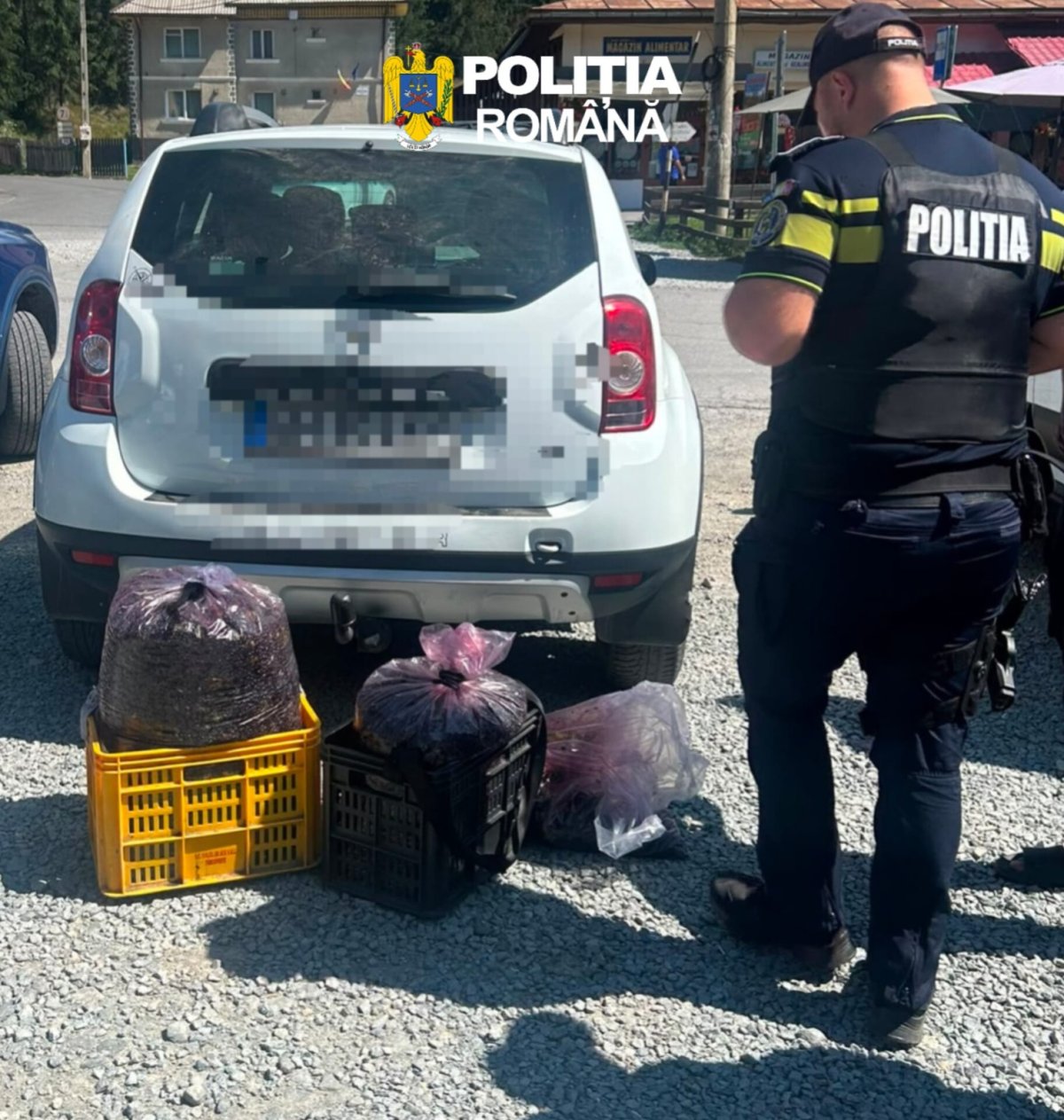 Szigorúan ellenőrzik az erdei gyümölcsök gyűjtését: engedély nélkül súlyos bírság járhat