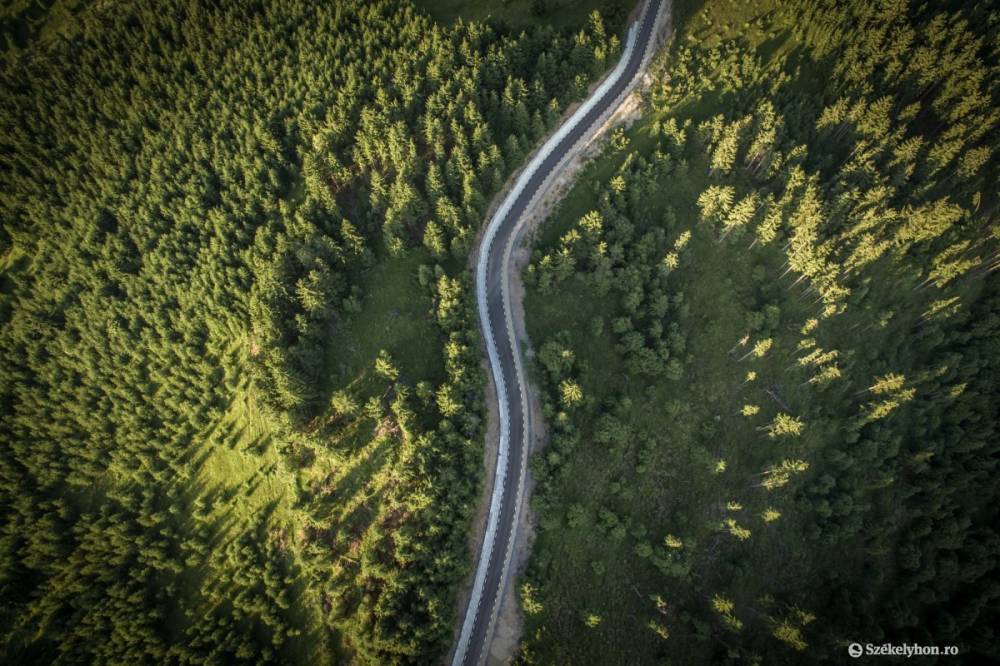 Elfogadta a képviselőház a biológiai sokféleség megőrzésére vonatkozó stratégiát