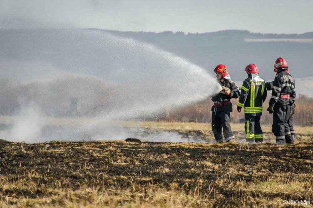 Kigyulladt egy kombájn és a búzatábla a Maros megyében, a közeli erdőt veszélyeztetik a lángok