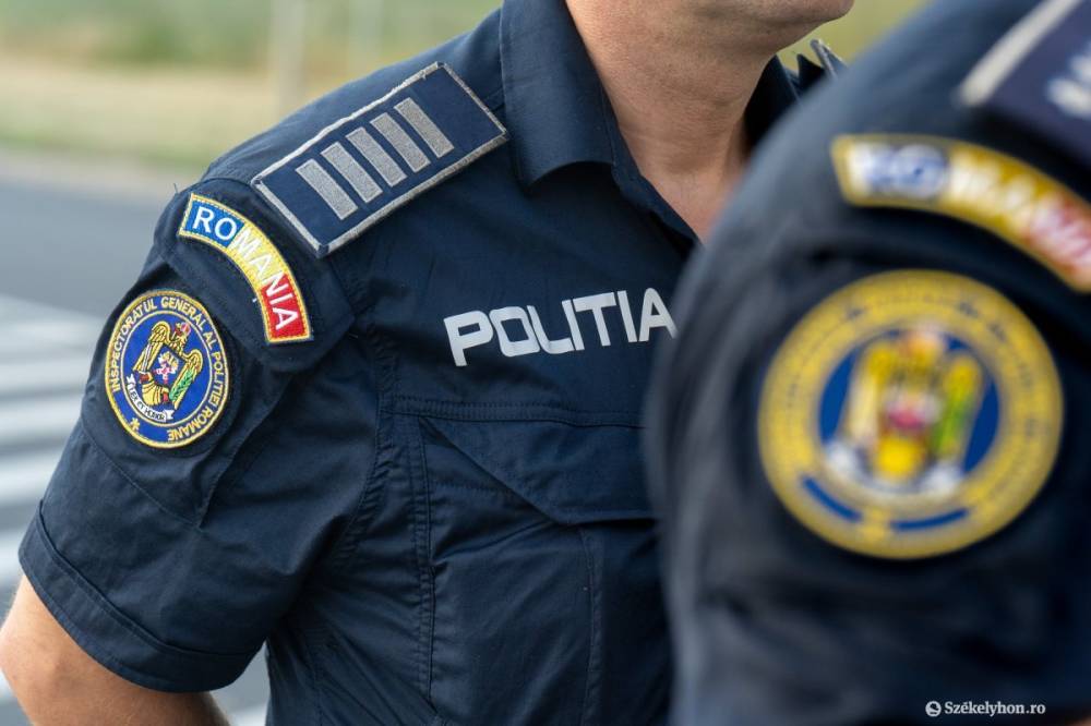 Sűrített levegős fegyverrel lőtt le egy macskát – fél év után vették őrizetbe