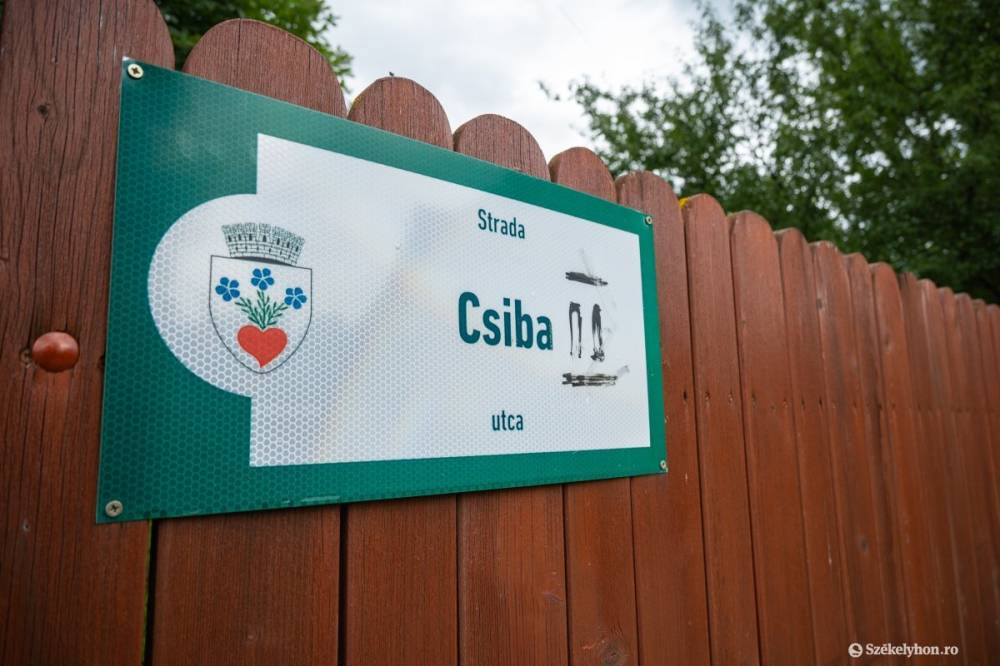 Medvét láttak Csibában