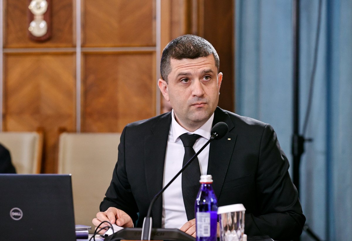 Az ügyvivő védelmi miniszter szerint a PSD köré szerveződő kormány kockázatot jelentene a gazdasági szféra számára
