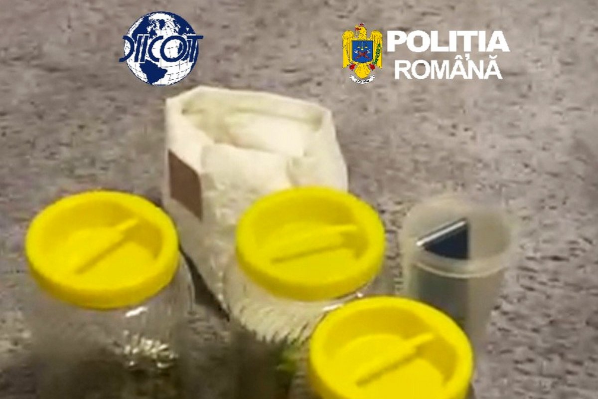 Drogdílereket kapcsolt le a Hargita megyei rendőrség