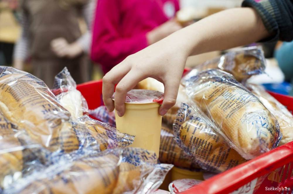 Nem a tanintézményekben biztosított élelemmel van a gond, hanem az iskolák körül kapható ételekkel