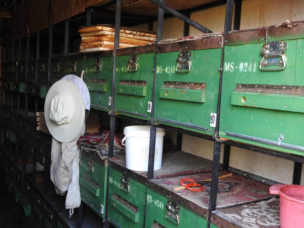 Olcsó importméz fojtogatja a hazai méhészeket, a bioméz lehet az ágazat mentőöve