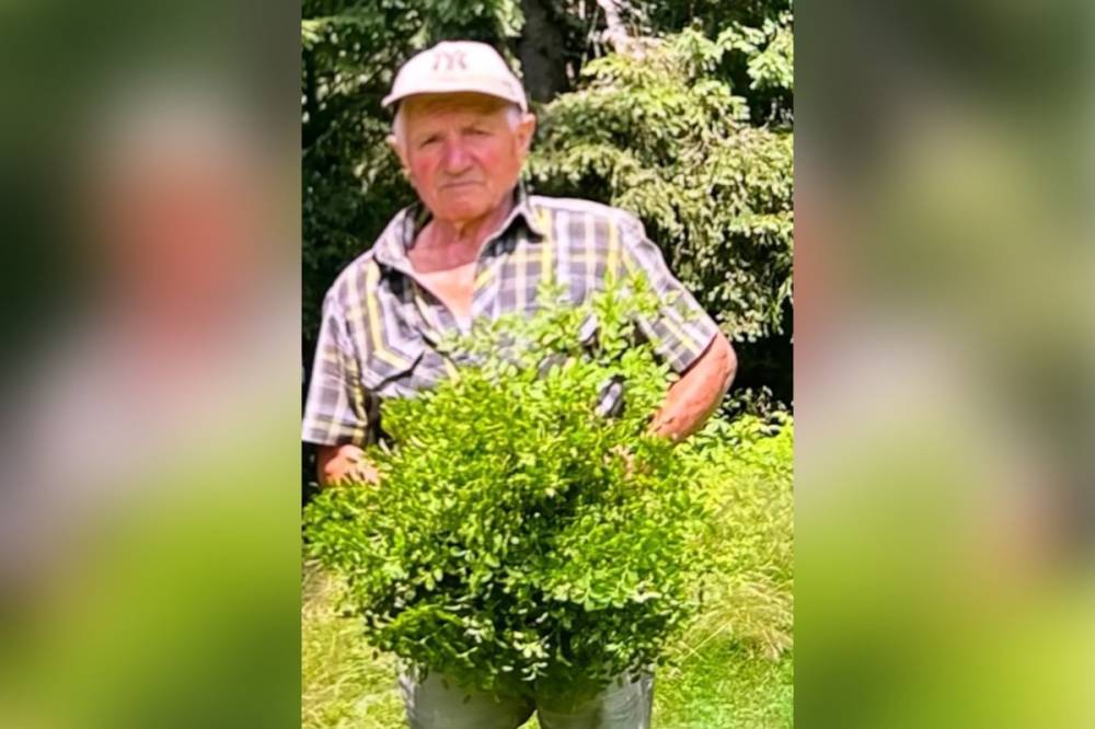Civil összefogással keresik tovább a Bucsinon eltűnt idős férfit
